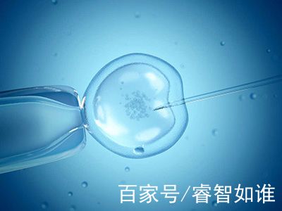 爱心同性供卵代孕微信群